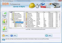 DDR Professional Recovery Software