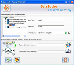 Explorer-Kennwortwiederaufnahme und unmask Werkzeug screenshot
